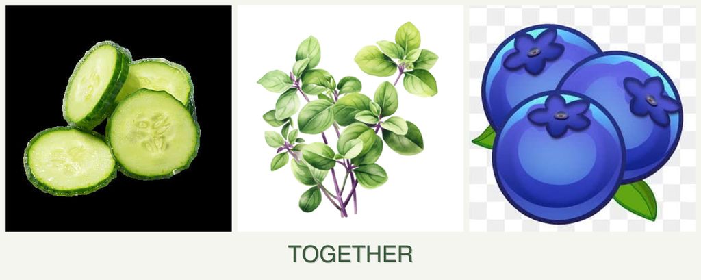 Can you plant cucumbers, oregano and blueberries together?