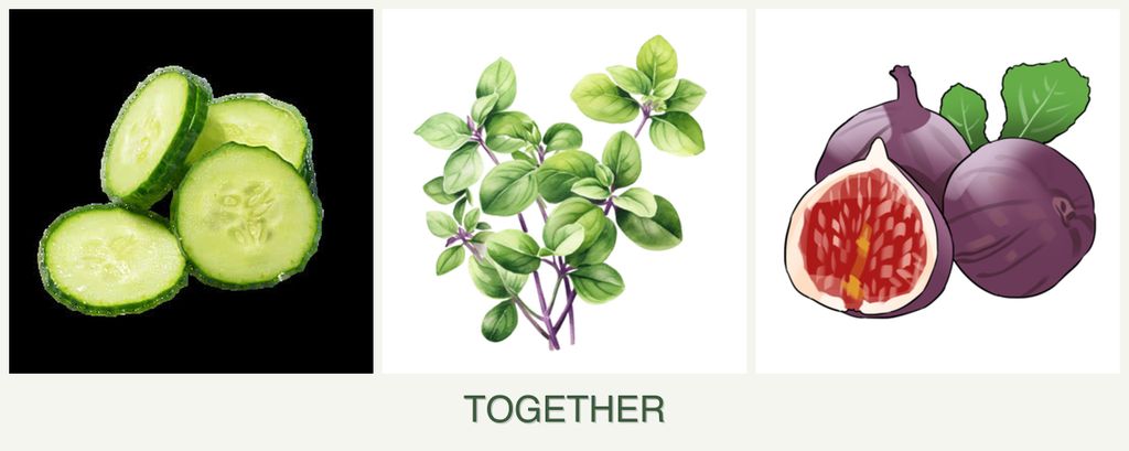 Can you plant cucumbers, oregano and figs together?