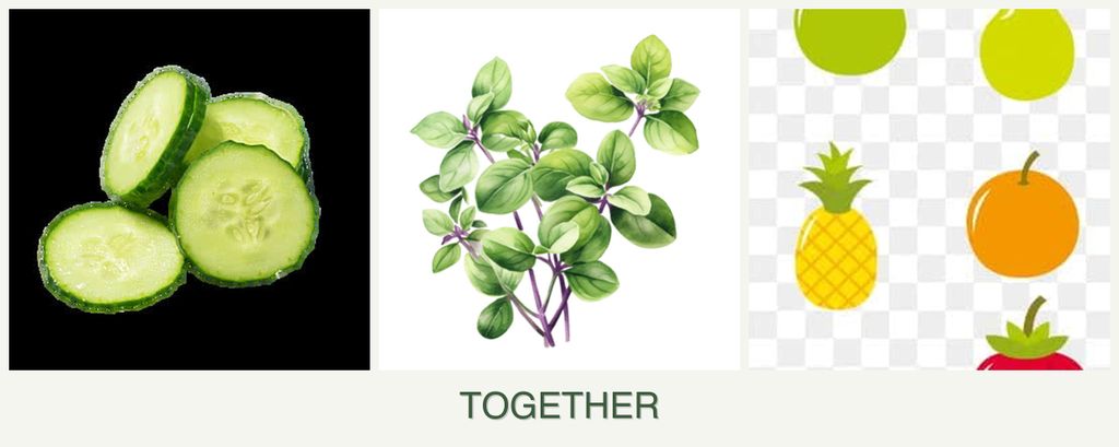 Can you plant cucumbers, oregano and pears together?