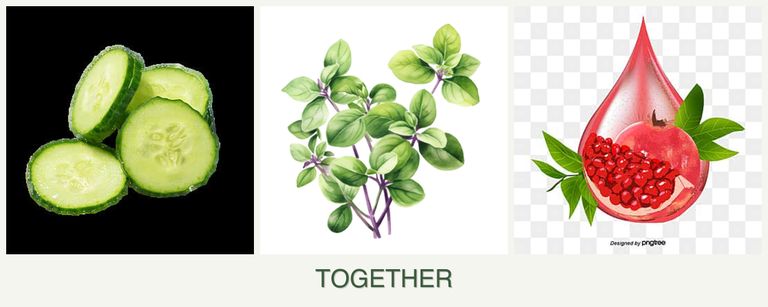 Can you plant cucumbers, oregano and pomegranates together?