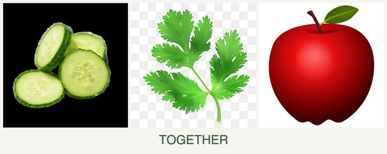 Can you plant cucumbers, parsley and apples together?