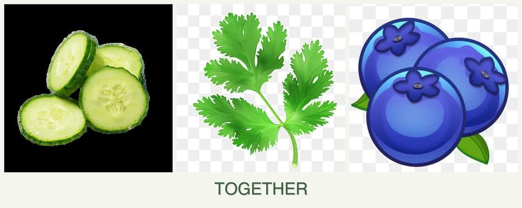 Can you plant cucumbers, parsley and blueberries together?