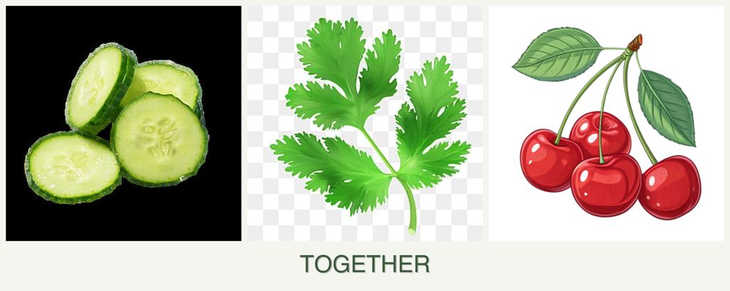 Can you plant cucumbers, parsley and cherries together?