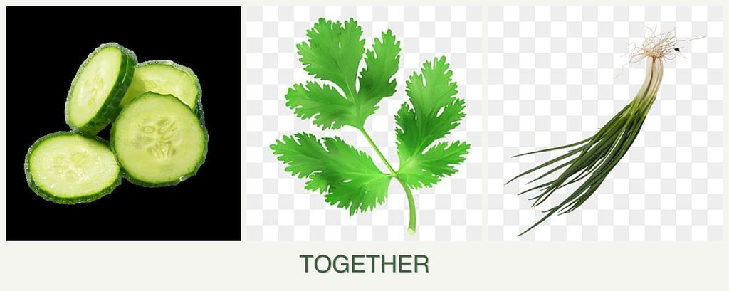 Can you plant cucumbers, parsley and chives together?