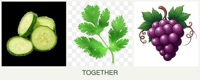 Can you plant cucumbers, parsley and grapes together?