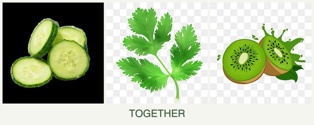 Can you plant cucumbers, parsley and kiwi together?