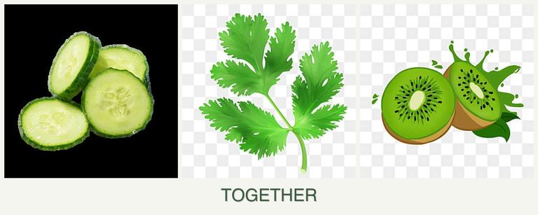 Can you plant cucumbers, parsley and kiwi together?