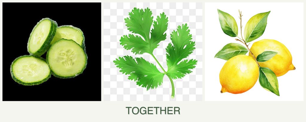 Can you plant cucumbers, parsley and lemons together?