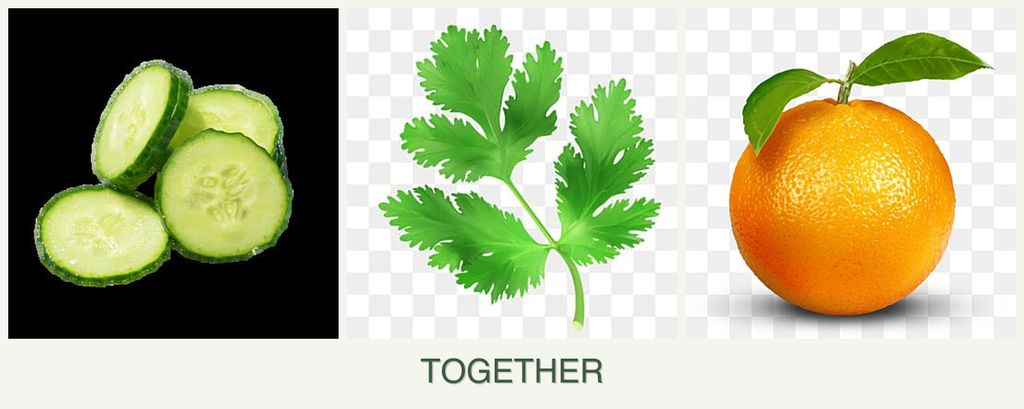 Can you plant cucumbers, parsley and oranges together?