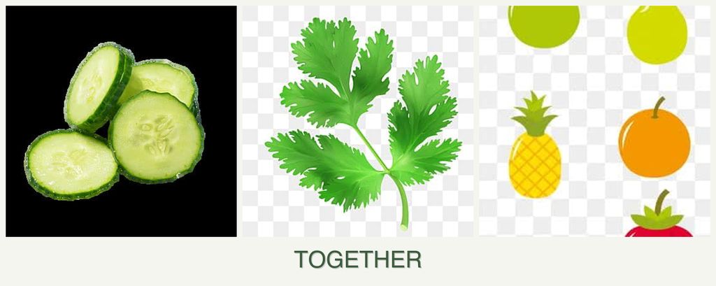 Can you plant cucumbers, parsley and pears together?