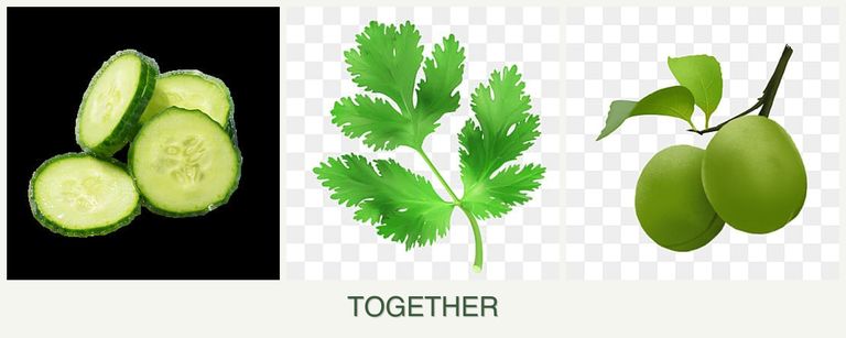 Can you plant cucumbers, parsley and plums together?