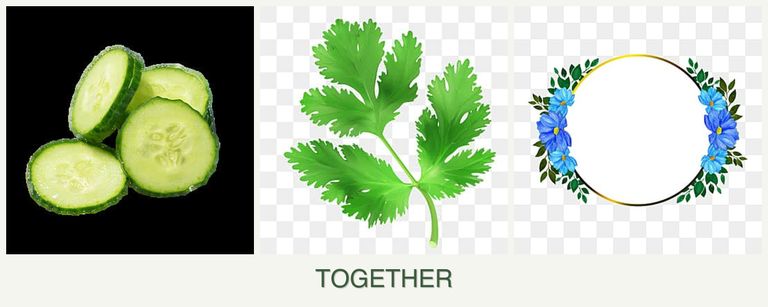 Can you plant cucumbers, parsley and zinnias together?