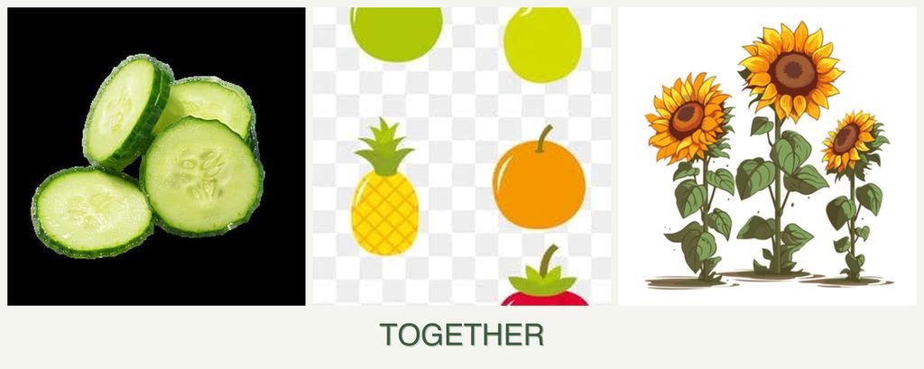 Can you plant cucumbers, pears and sunflowers together?
