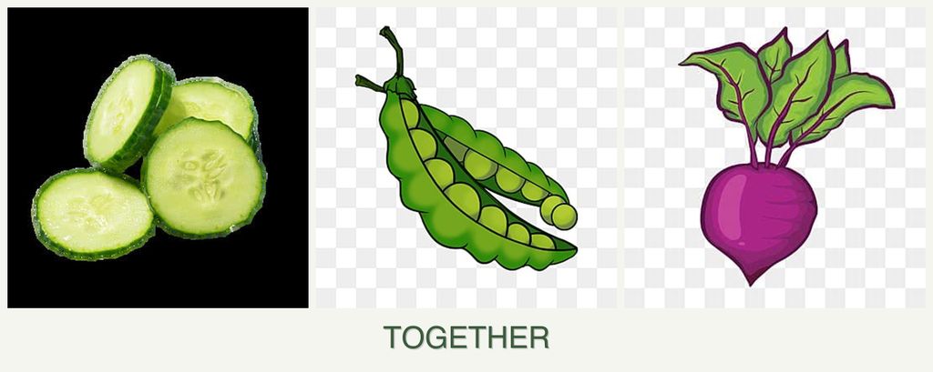 Can you plant cucumbers, peas and beets together?