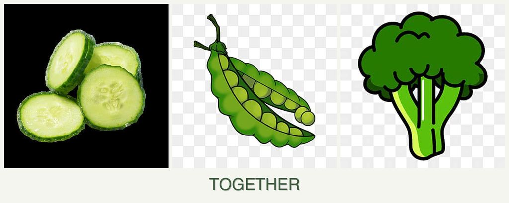 Can you plant cucumbers, peas and broccoli together?