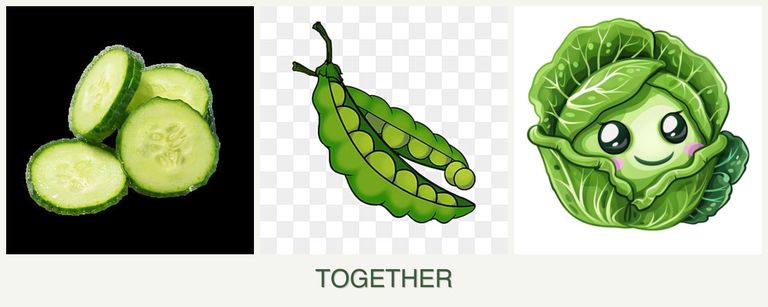 Can you plant cucumbers, peas and cabbage together?