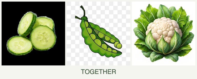 Can you plant cucumbers, peas and cauliflower together?
