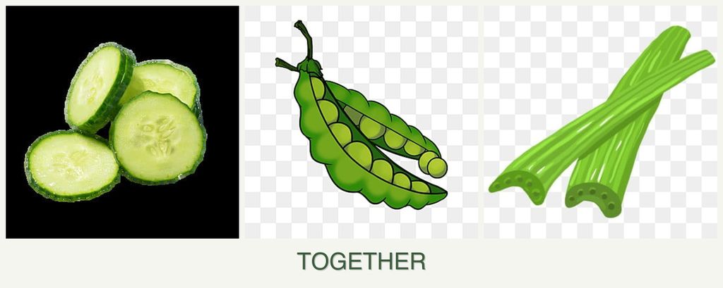 Can you plant cucumbers, peas and celery together?