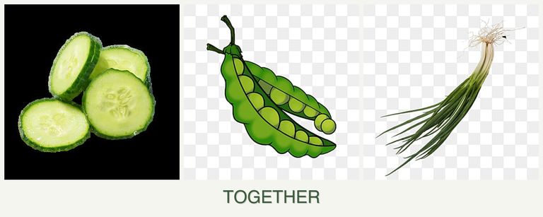 Can you plant cucumbers, peas and chives together?