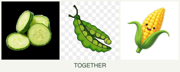 Can you plant cucumbers, peas and corn together?