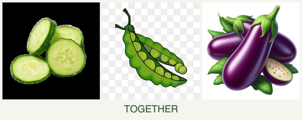 Can you plant cucumbers, peas and eggplant together?