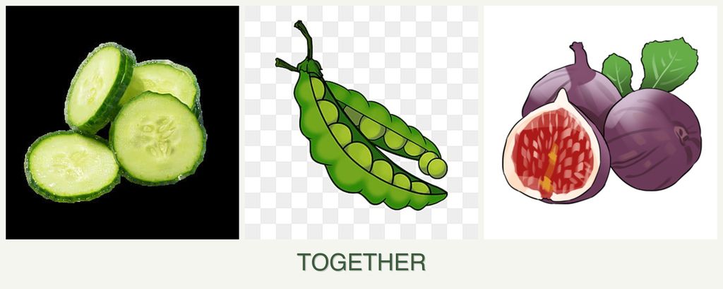 Can you plant cucumbers, peas and figs together?
