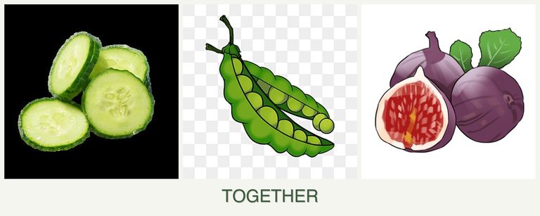 Can you plant cucumbers, peas and figs together?