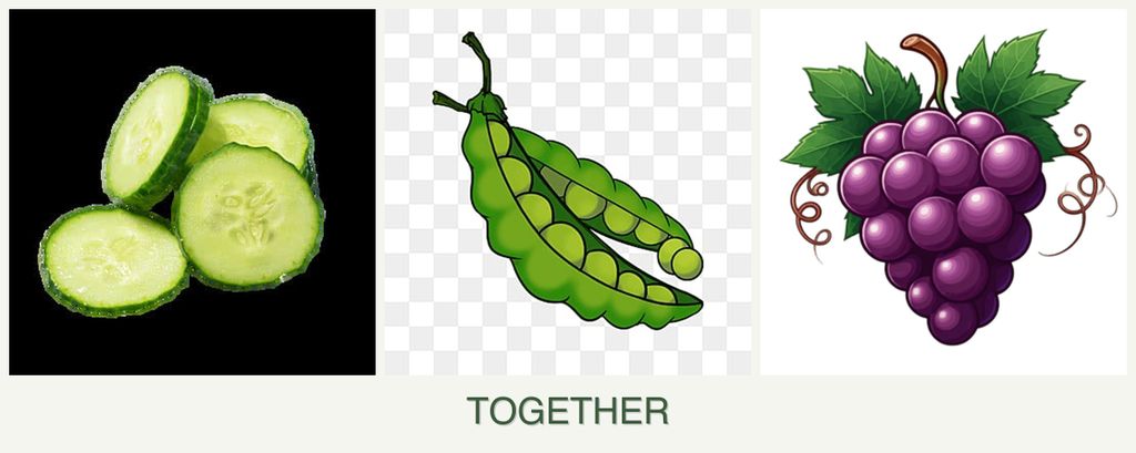 Can you plant cucumbers, peas and grapes together?