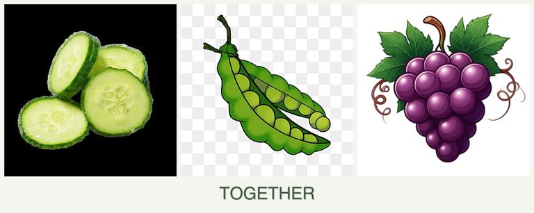 Can you plant cucumbers, peas and grapes together?