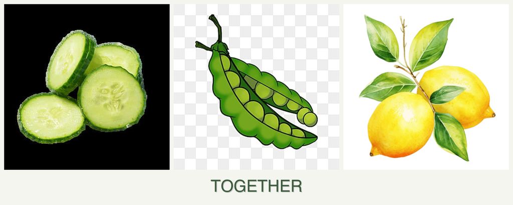 Can you plant cucumbers, peas and lemons together?