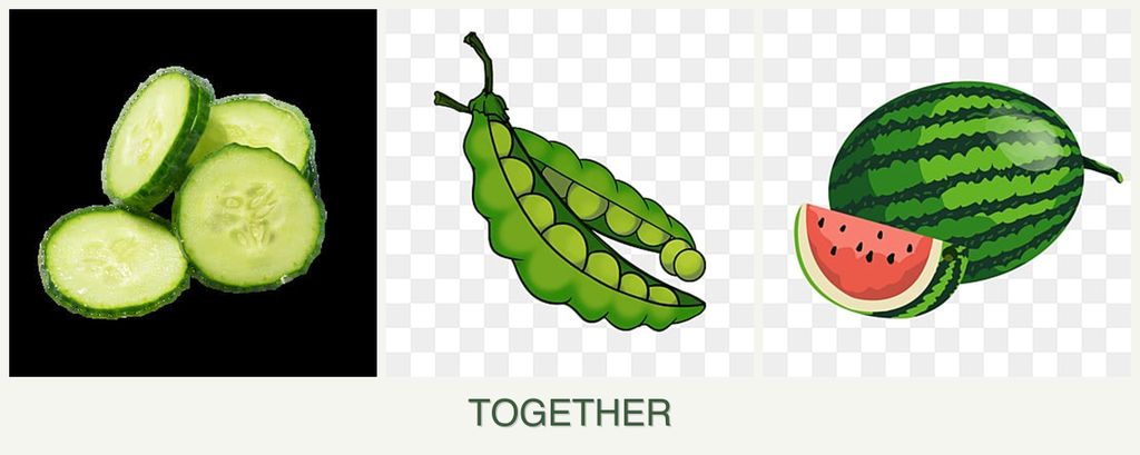 Can you plant cucumbers, peas and melons together?