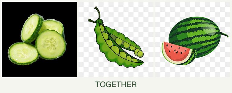 Can you plant cucumbers, peas and melons together?