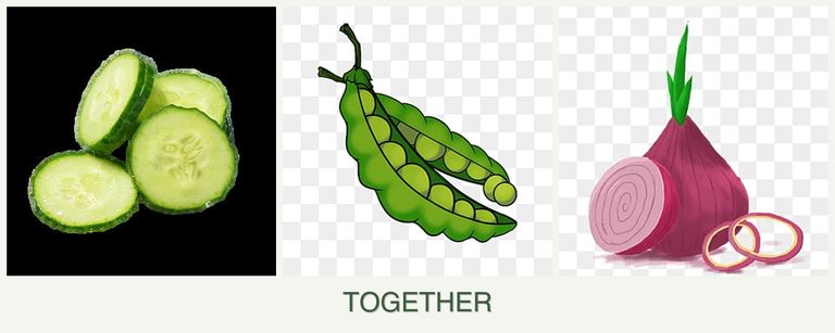Can you plant cucumbers, peas and onions together?