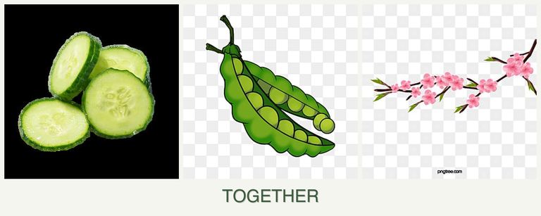 Can you plant cucumbers, peas and peaches together?