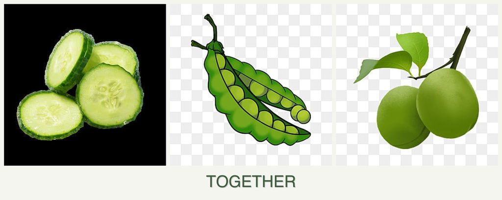 Can you plant cucumbers, peas and plums together?