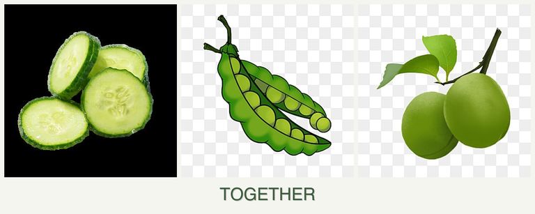 Can you plant cucumbers, peas and plums together?