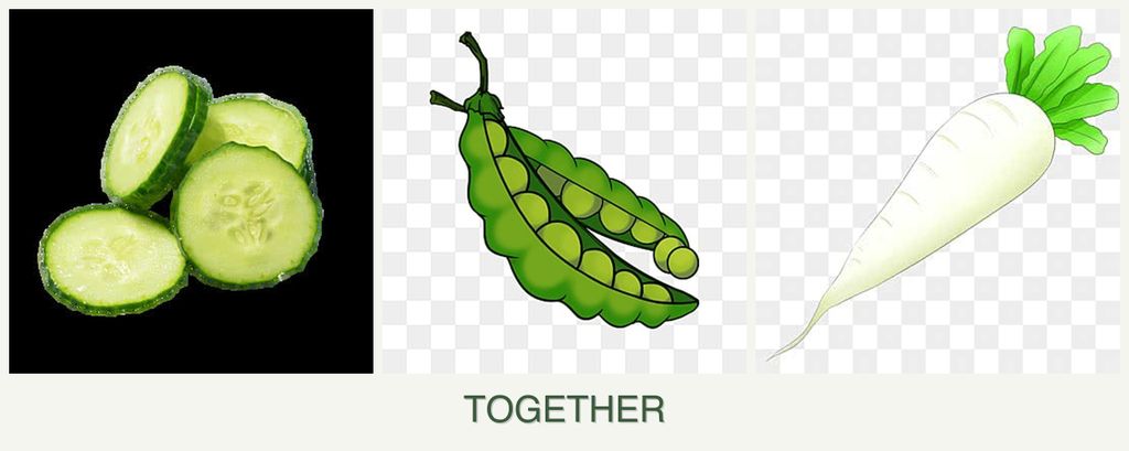 Can you plant cucumbers, peas and radishes together?