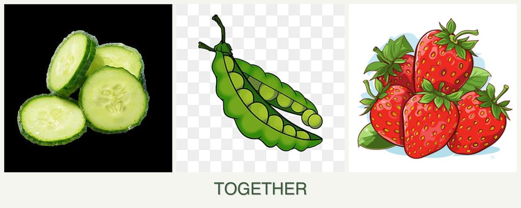 Can you plant cucumbers, peas and strawberries together?