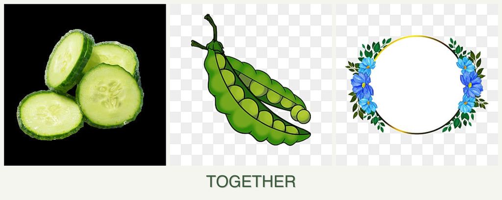 Can you plant cucumbers, peas and zinnias together?
