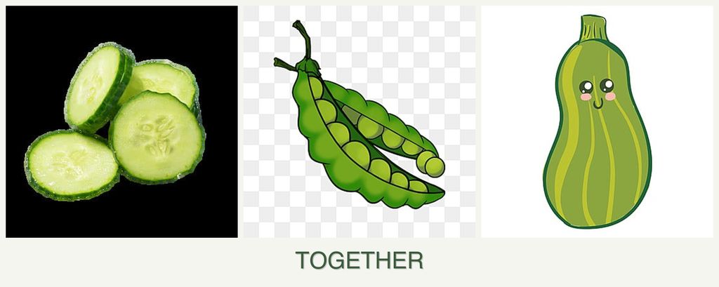 Can you plant cucumbers, peas and zucchini together?