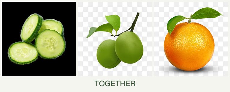 Can you plant cucumbers, plums and oranges together?