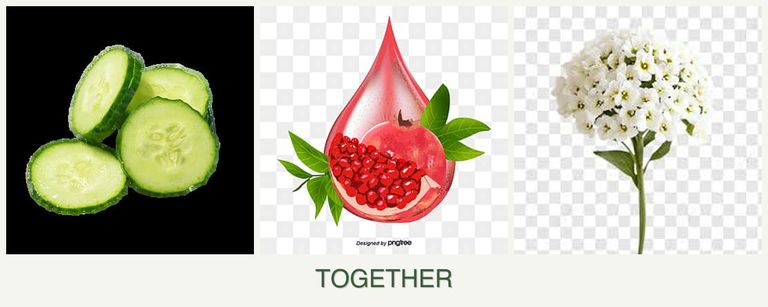 Can you plant cucumbers, pomegranates and alyssum together?