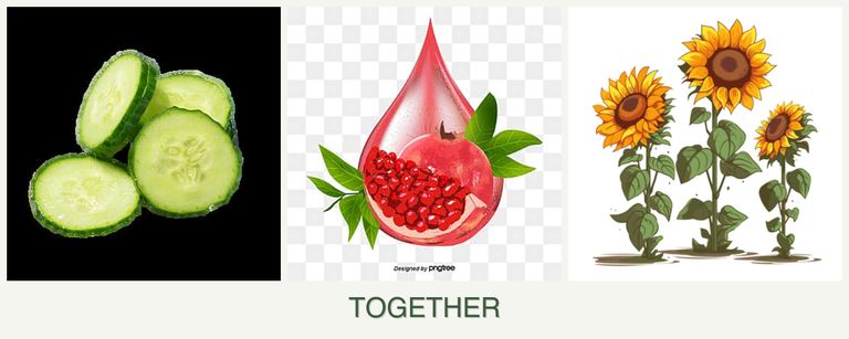 Can you plant cucumbers, pomegranates and sunflowers together?