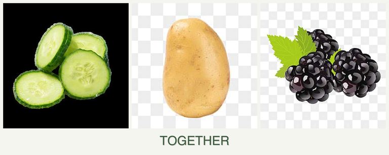 Can you plant cucumbers, potatoes and blackberries together?