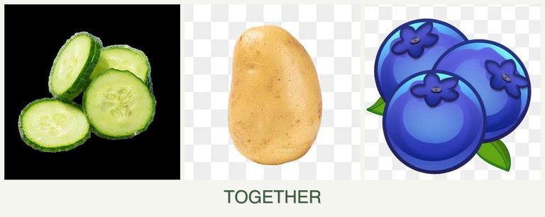 Can you plant cucumbers, potatoes and blueberries together?