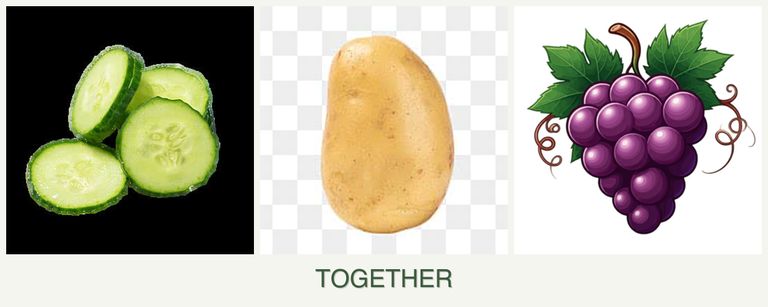 Can you plant cucumbers, potatoes and grapes together?