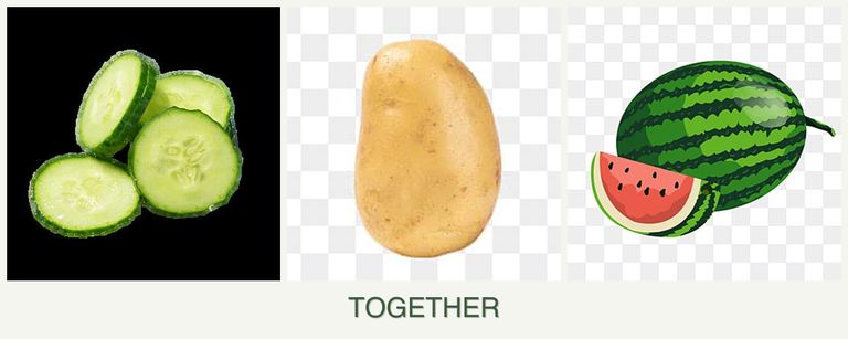 Can you plant cucumbers, potatoes and melons together?
