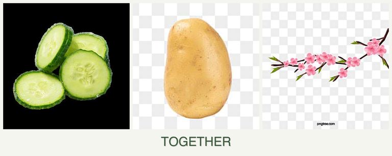 Can you plant cucumbers, potatoes and peaches together?
