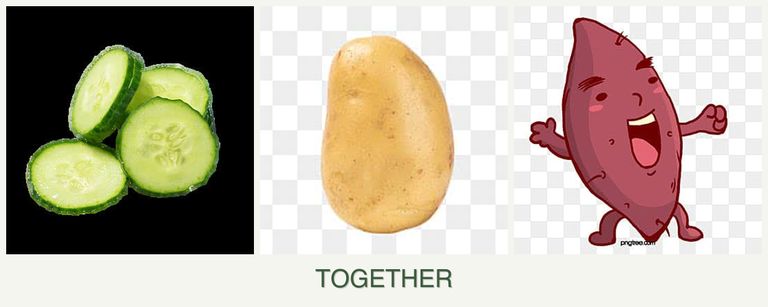 Can you plant cucumbers, potatoes and sweet potatoes together?