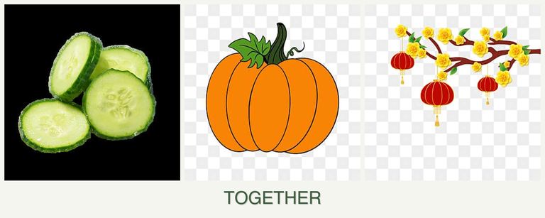 Can you plant cucumbers, pumpkin and apricots together?